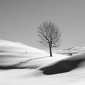 Latitudes effect attitudes