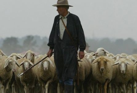 Shepherd with his rod
