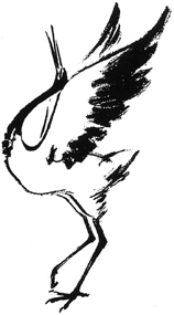 crane1
