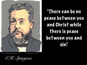 11831809_417345445125926_2957479398676821867_n