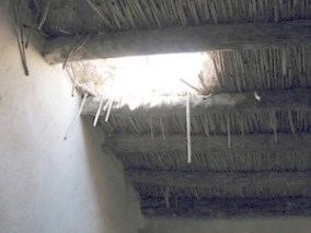 jesus-heals-a-paralytic-at-capernaum