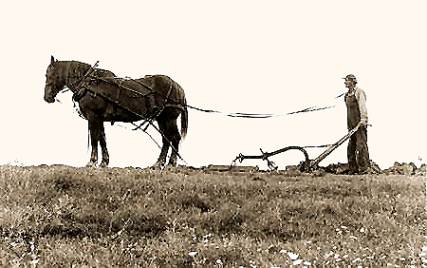 How Things Grow,&nbsp;[Work]