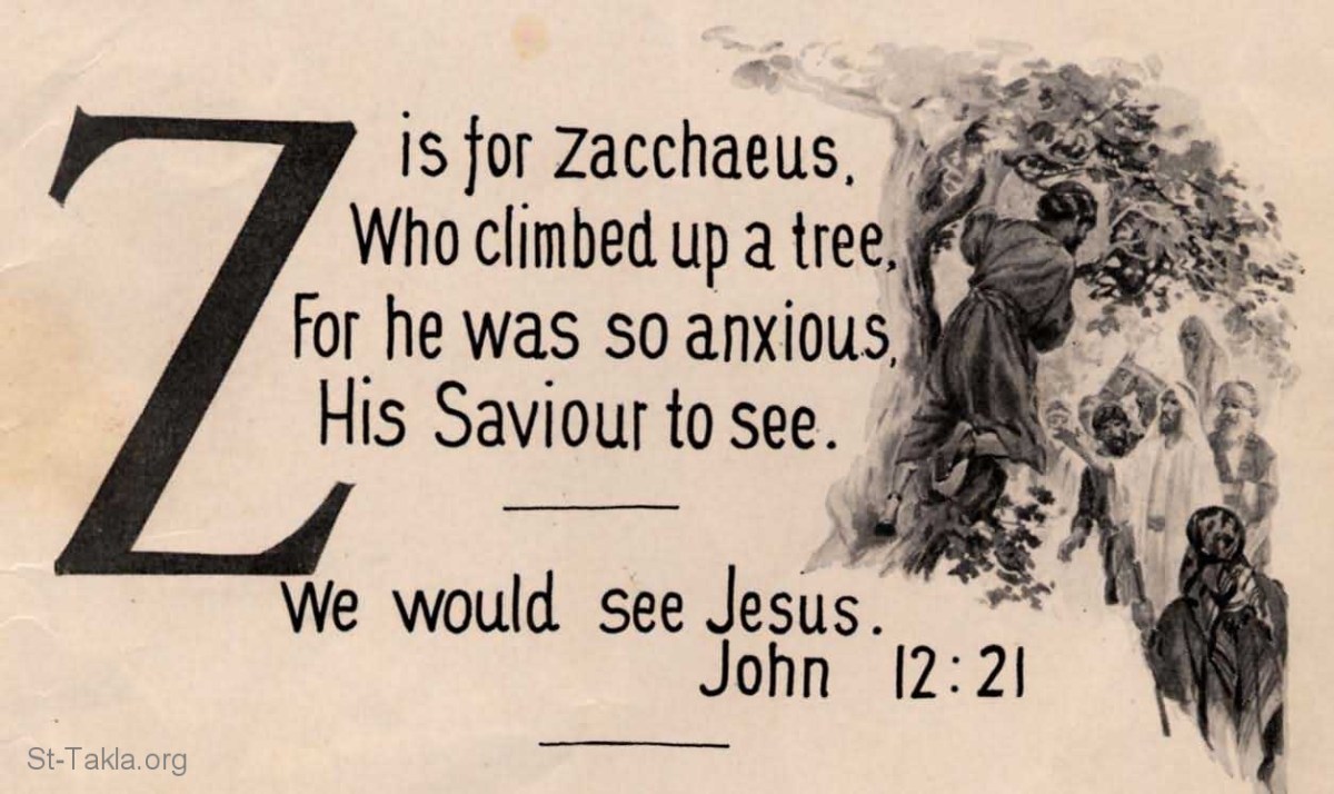 Our View From the&nbsp;Tree