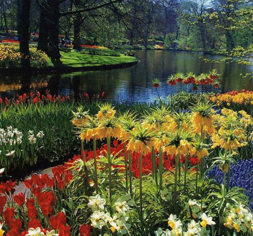 Like Well-Watered Gardens: Isaiah&nbsp;58