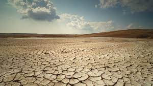 Fallow Ground – Broken Believers